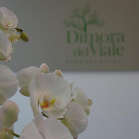 Dimora Del Viale Bed & Breakfast Agrigento Bagian luar foto