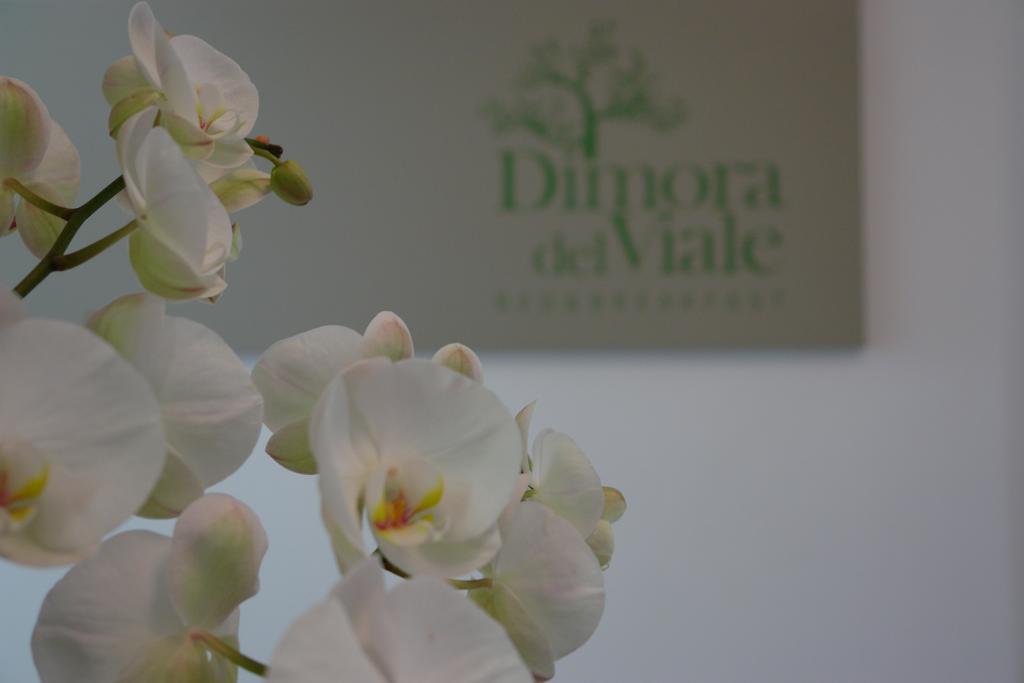 Dimora Del Viale Bed & Breakfast Agrigento Bagian luar foto